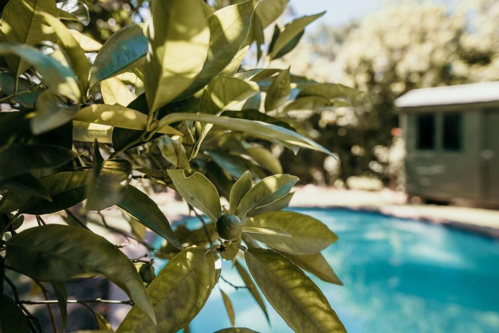 Classic Greyton Cottage For Two Bagian luar foto